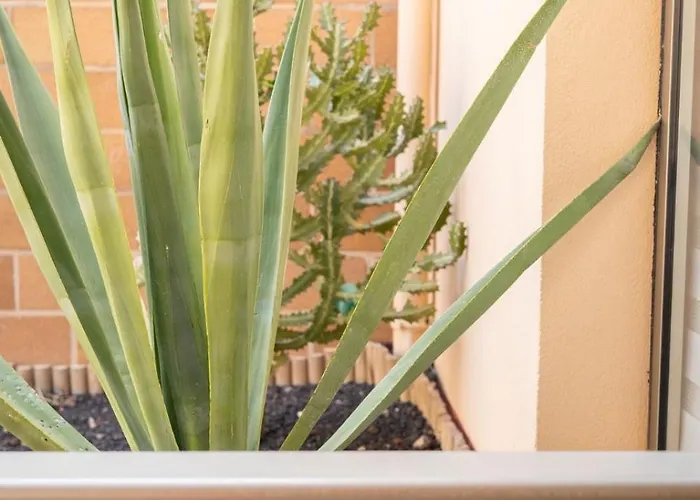 Lägenhet Casa Simar